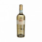 VIGNA CARACCI FALERNO DEL MASSICCIO 2017