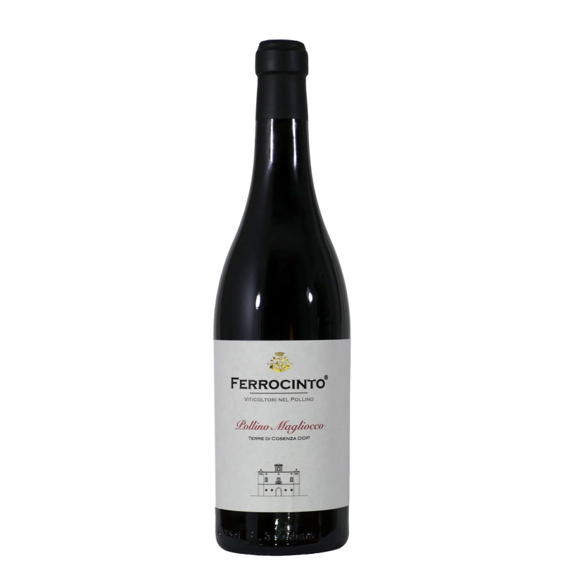 POLLINO ROSSO FERROCINTO 2021 POLLINO ROSSO FERROCINTO 2021