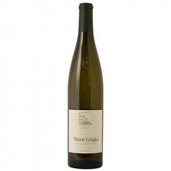 PINOT GRIGIO TERLANO 2021