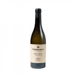 POLLINO BIANCO FERROCINTO 2024