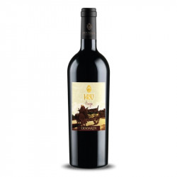 1480 L'INIZIO ODOARDI 2016