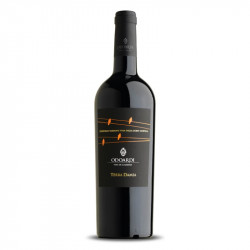 TERRA DAMIA ODOARDI 2016